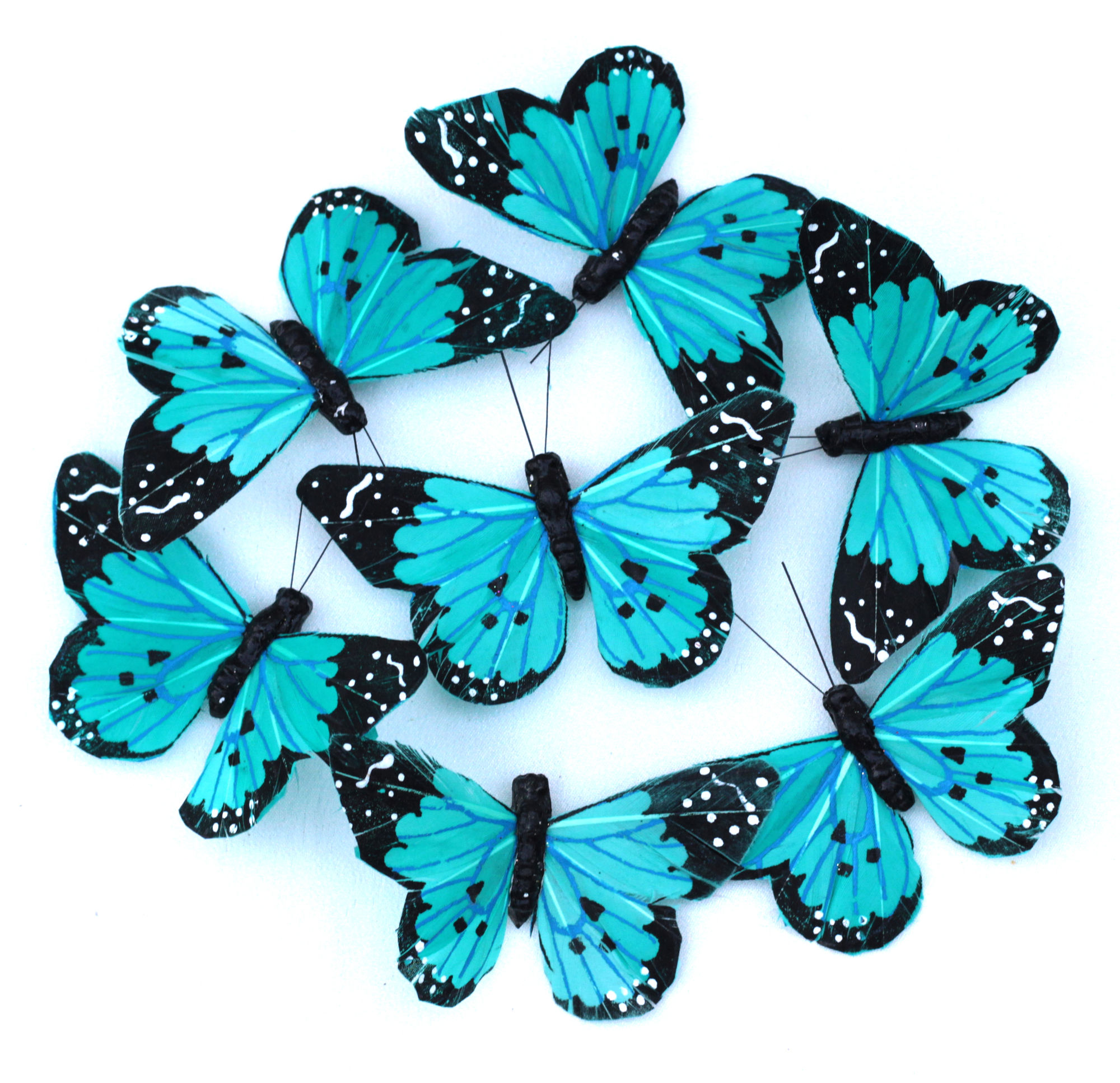 бабочка янтарница. бабочка крапчатый арлекин. булавоусые чешуекрылые чешуекрылые. бабочка переливница тополевая. морфо пелеида.